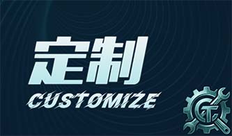 定制